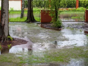 Five Common Drainage Issues & How to Solve Them